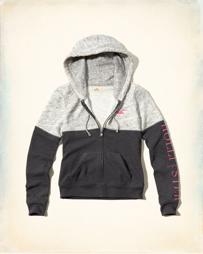 Embroidered Logo Graphic Hoodie, Hollisterco, 